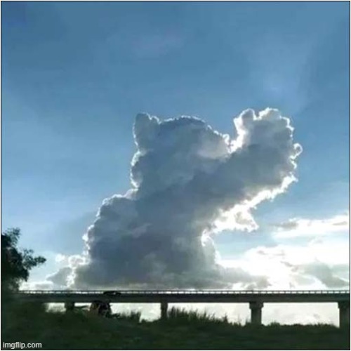 An Overly Dramatic Cat Cloud ! | image tagged in cats,overly,dramatic,cloud | made w/ Imgflip meme maker