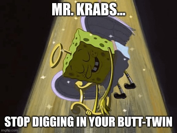 Mr. Krabs I have an idea | MR. KRABS... STOP DIGGING IN YOUR BUTT-TWIN | image tagged in mr krabs i have an idea | made w/ Imgflip meme maker