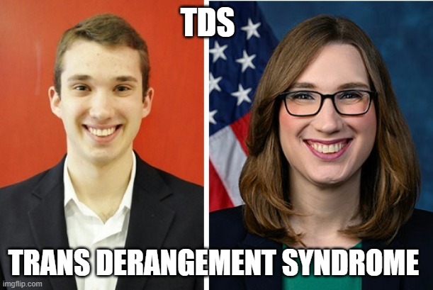 Trans Derangement Syndrome - TDS | TDS; TRANS DERANGEMENT SYNDROME | image tagged in tds,sarah mcbride | made w/ Imgflip meme maker