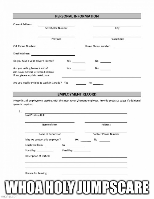 jumpscare | WHOA HOLY JUMPSCARE | image tagged in job application blank | made w/ Imgflip meme maker