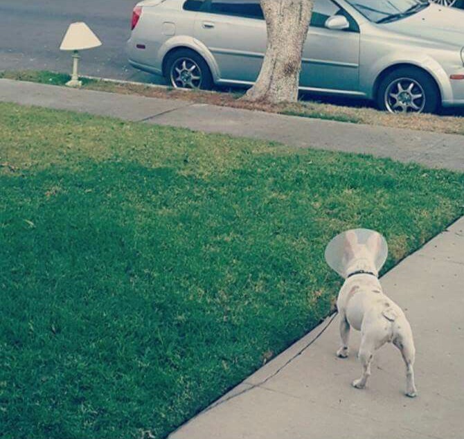 Chrisjoines1 Blank Meme Template