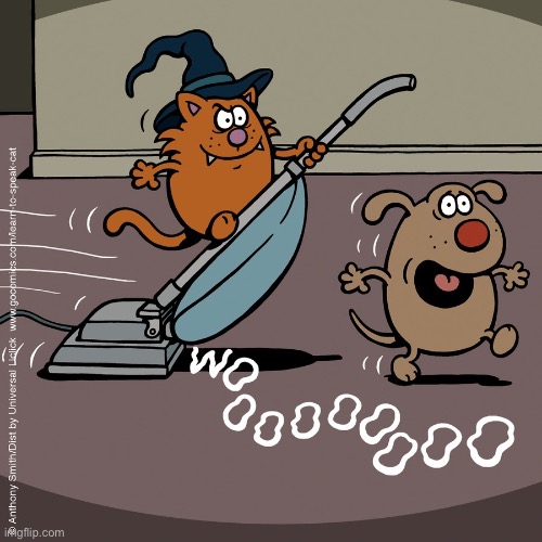 Learn to Speak Cat | image tagged in comics,learn to speak cat,witch,dog,vacuum,scary | made w/ Imgflip meme maker