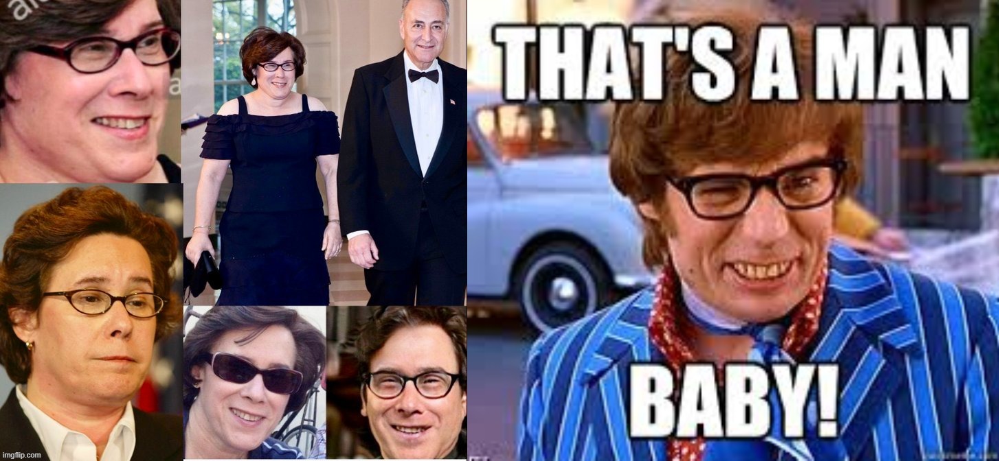 I retort, you deride . . . North Atlantic Trans Organization | image tagged in transgender,ukraine,israel,chuck schumer,austin powers,new york | made w/ Imgflip meme maker