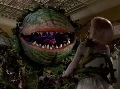 Little Shop of Horrors Feeding Time Blank Meme Template