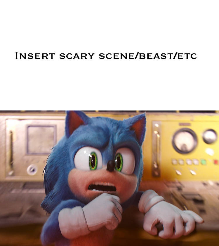 Sonic terrified of what Blank Meme Template
