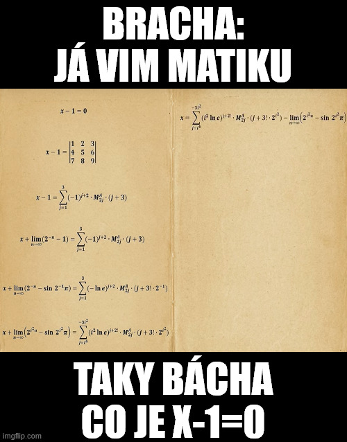 BRACHA:
JÁ VIM MATIKU; TAKY BÁCHA
CO JE X-1=0 | made w/ Imgflip meme maker