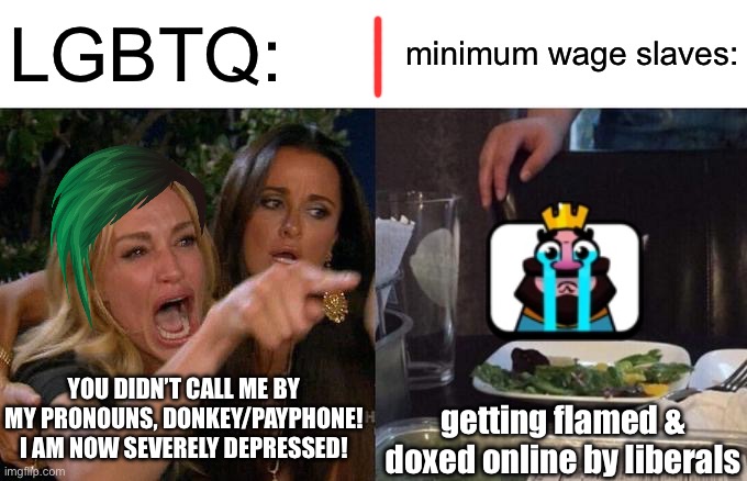 They don’t get payed for getting doxed | LGBTQ:; minimum wage slaves:; YOU DIDN’T CALL ME BY MY PRONOUNS, DONKEY/PAYPHONE! I AM NOW SEVERELY DEPRESSED! getting flamed & doxed online by liberals | image tagged in memes,woman yelling at cat | made w/ Imgflip meme maker