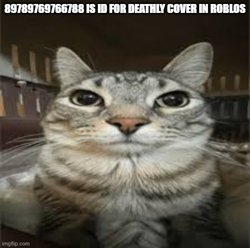 id in roblox | 89789769766788 IS ID FOR DEATHLY COVER IN ROBLOS | image tagged in memes | made w/ Imgflip meme maker
