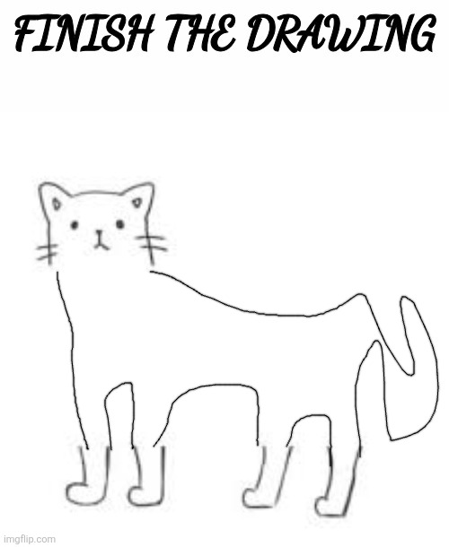 finish the drawing | image tagged in finish the drawing | made w/ Imgflip meme maker