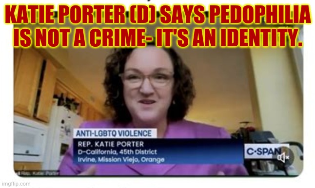 Need More Katie Porter? | KATIE PORTER (D) SAYS PEDOPHILIA IS NOT A CRIME- IT'S AN IDENTITY. | image tagged in memes,politics,pedophilia,not,crime,identity | made w/ Imgflip meme maker