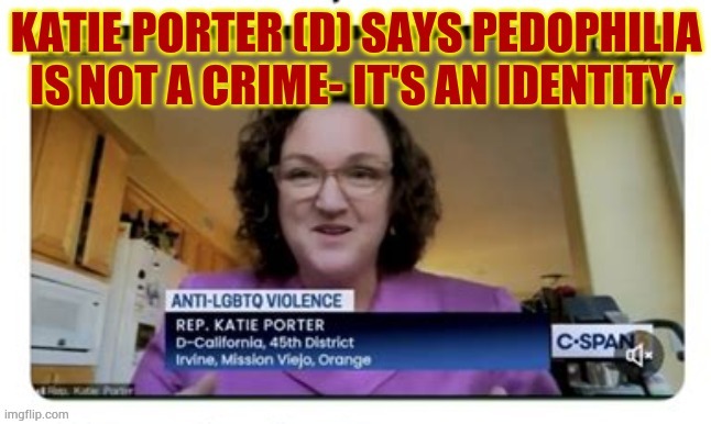 Need More Katie Porter? | image tagged in memes,more,drag queen,reading,children,katie porter | made w/ Imgflip meme maker