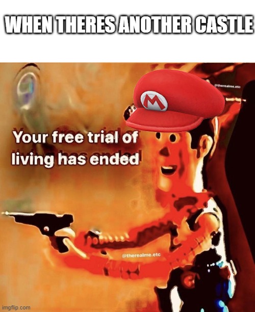 Memes | WHEN THERES ANOTHER CASTLE | image tagged in your free trial of living has ended,mario | made w/ Imgflip meme maker