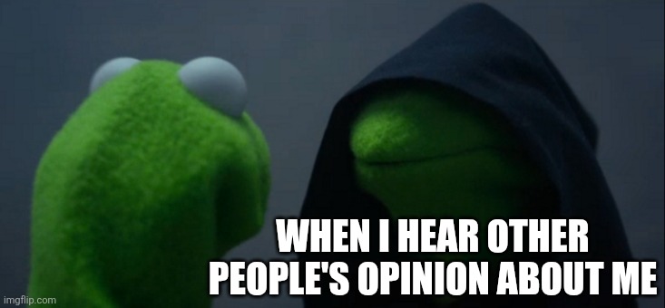 Bro discoverd he is not an hero of the day | WHEN I HEAR OTHER PEOPLE'S OPINION ABOUT ME | image tagged in memes,evil kermit | made w/ Imgflip meme maker
