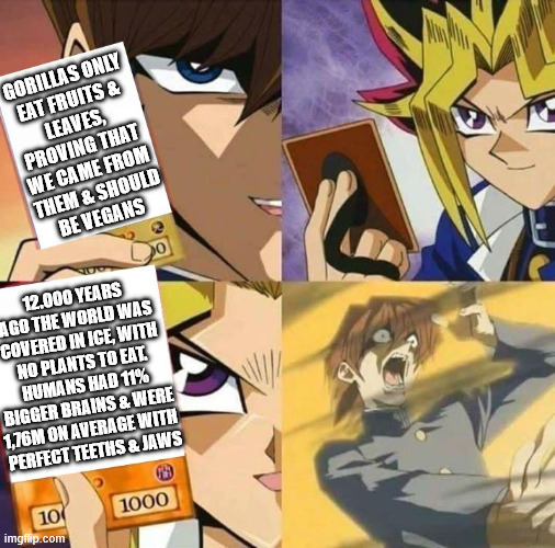 Yu-gi-oh Carnivore vs Vegan | GORILLAS ONLY 
EAT FRUITS & 
LEAVES, 
PROVING THAT 
WE CAME FROM 
THEM & SHOULD
BE VEGANS; 12.000 YEARS AGO THE WORLD WAS COVERED IN ICE, WITH NO PLANTS TO EAT. HUMANS HAD 11% BIGGER BRAINS & WERE 1,76M ON AVERAGE WITH 
PERFECT TEETHS & JAWS | image tagged in yugioh card draw | made w/ Imgflip meme maker