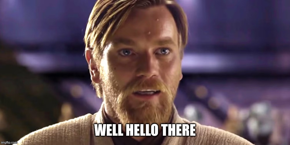 well hello there | WELL HELLO THERE | image tagged in starwars,obi wan kenobi,funny memes,memes,funny,obi one kenobi | made w/ Imgflip meme maker