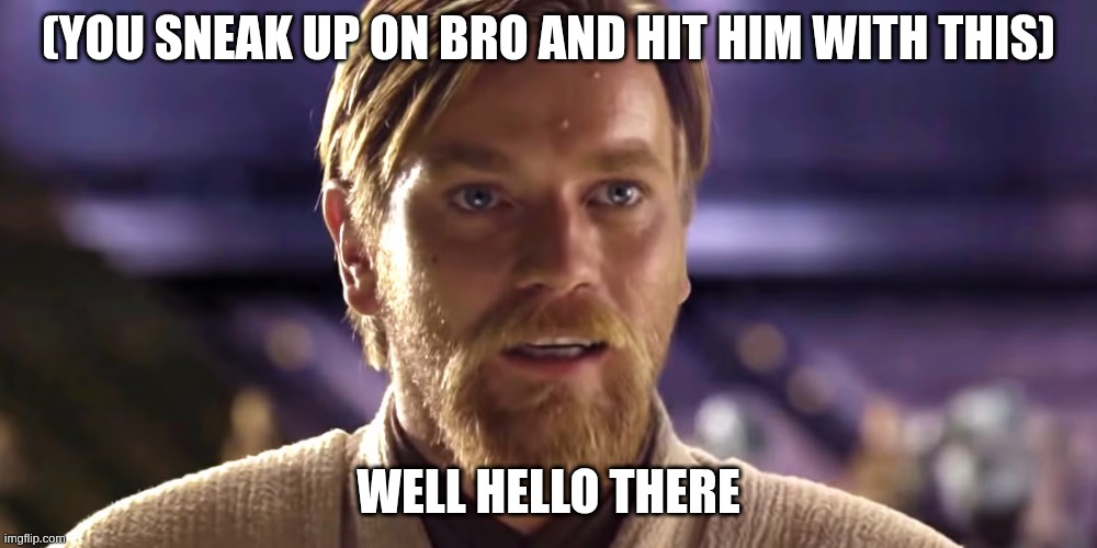 well hello there | (YOU SNEAK UP ON BRO AND HIT HIM WITH THIS) | image tagged in starwars,obi wan kenobi,obi one kenobi,funny memes,memes,funny | made w/ Imgflip meme maker