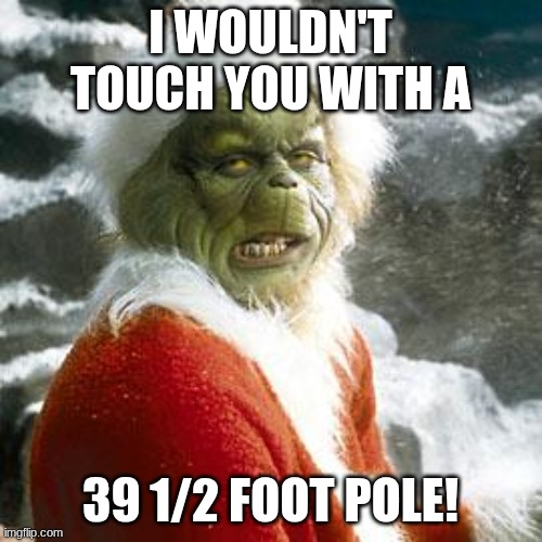 grinch | I WOULDN'T TOUCH YOU WITH A 39 1/2 FOOT POLE! | image tagged in grinch | made w/ Imgflip meme maker