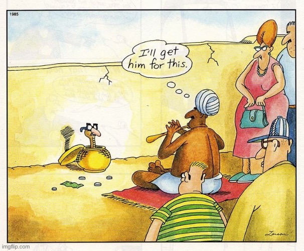 Cobra hijinks… | image tagged in the far side,comics,snake charmer,cobra,hijinks | made w/ Imgflip meme maker