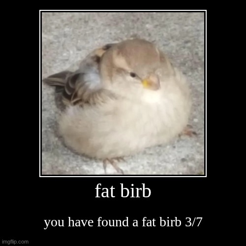 fat birb | you have found a fat birb 3/7 | image tagged in funny,demotivationals | made w/ Imgflip demotivational maker