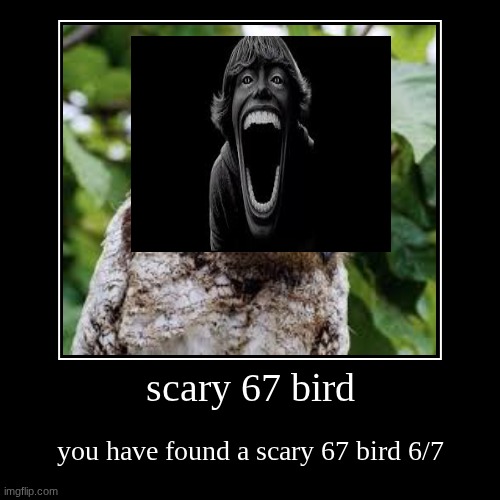 scary 67 bird | you have found a scary 67 bird 6/7 | image tagged in funny,demotivationals | made w/ Imgflip demotivational maker