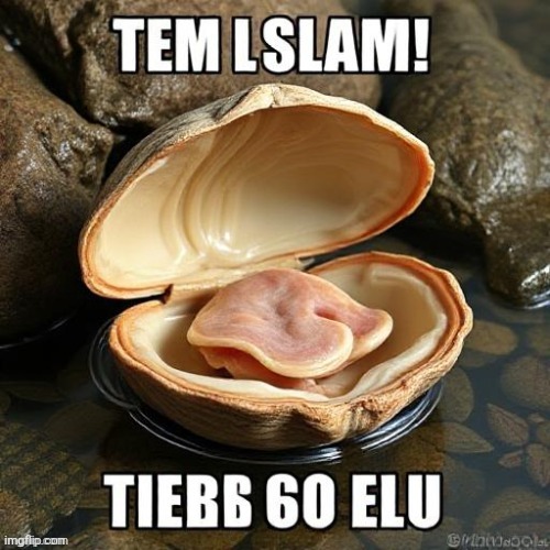 TEM LSLAM! TIEBБ 60 ELU | image tagged in tem lslam tieb 60 elu | made w/ Imgflip meme maker
