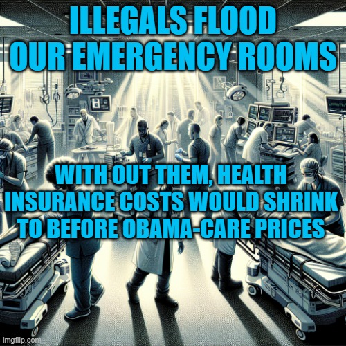 Without illegals our health care cost would shrink to before Obama-care prices | ILLEGALS FLOOD OUR EMERGENCY ROOMS; WITH OUT THEM, HEALTH INSURANCE COSTS WOULD SHRINK TO BEFORE OBAMA-CARE PRICES | image tagged in emergency room | made w/ Imgflip meme maker