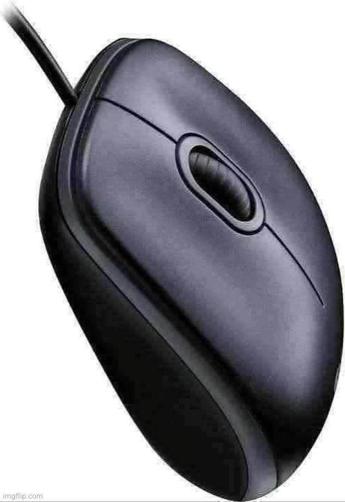 Computer mouse | image tagged in computer mouse | made w/ Imgflip meme maker
