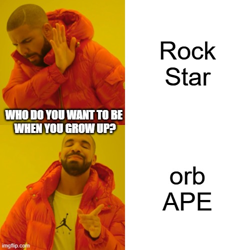 orb ape | Rock Star; WHO DO YOU WANT TO BE 
WHEN YOU GROW UP? orb APE | image tagged in memes,drake hotline bling | made w/ Imgflip meme maker