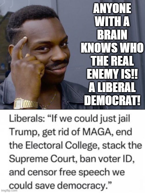 Who is the real enemy? | ANYONE WITH A BRAIN KNOWS WHO THE REAL ENEMY IS!! A LIBERAL DEMOCRAT! | image tagged in enemy | made w/ Imgflip meme maker