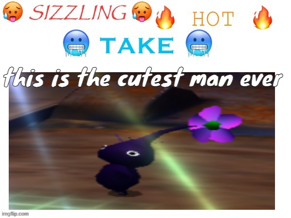 his name is grape and hes one of my purple pikmin in pikmin 2 | this is the cutest man ever | made w/ Imgflip meme maker