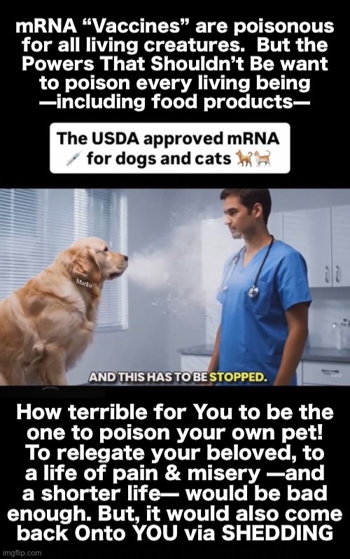 Shed your own ignorance, & learn about poisonous vaccines. Then your pet won’t shed vaccine harms back onto you | image tagged in memes,do not vax pets,causes them harm n shortens their lives,all vax r poison,fjb voter kissmyass,vax fjb voters | made w/ Imgflip meme maker