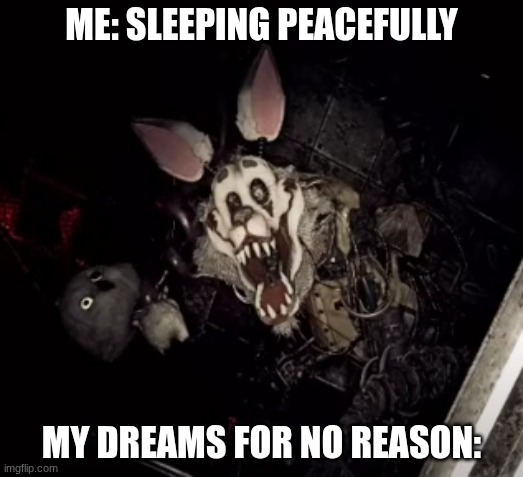 what the dog doing? | ME: SLEEPING PEACEFULLY; MY DREAMS FOR NO REASON: | image tagged in fnaf | made w/ Imgflip meme maker