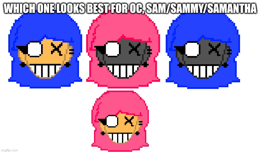 WHICH ONE LOOKS BEST FOR OC, SAM/SAMMY/SAMANTHA | made w/ Imgflip meme maker