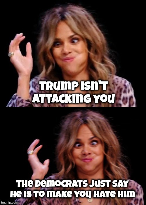 Lovely Halle Berry | Trump isn't attacking you The Democrats just say he is to make you hate him | image tagged in lovely halle berry | made w/ Imgflip meme maker