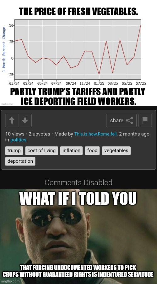 The covert racism disabled comment saga continues | WHAT IF I TOLD YOU; THAT FORCING UNDOCUMENTED WORKERS TO PICK CROPS WITHOUT GUARANTEED RIGHTS IS INDENTURED SERVITUDE | image tagged in memes,matrix morpheus,racism,democrats,the left can't meme | made w/ Imgflip meme maker