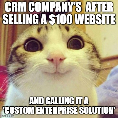 Smiling Cat Meme | CRM COMPANY'S  AFTER SELLING A $100 WEBSITE; AND CALLING IT A 'CUSTOM ENTERPRISE SOLUTION' | image tagged in memes,smiling cat | made w/ Imgflip meme maker