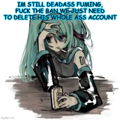 IM STILL DEADASS FUMING, FUCK THE BAN WE JUST NEED TO DELETE HIS WHOLE ASS ACCOUNT | made w/ Imgflip meme maker