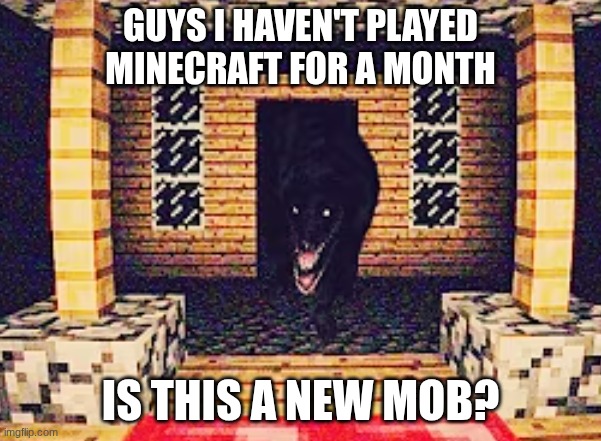 GUYS I HAVEN'T PLAYED MINECRAFT FOR A MONTH; IS THIS A NEW MOB? | image tagged in minecraft | made w/ Imgflip meme maker