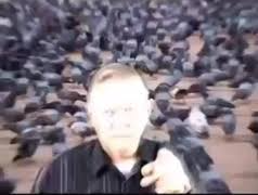 High Quality seven thousand fucking pigeons Blank Meme Template