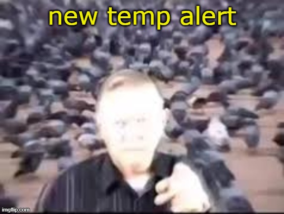 seven thousand fucking pigeons | new temp alert | image tagged in seven thousand fucking pigeons | made w/ Imgflip meme maker