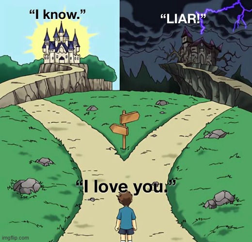 I Love You in Star Wars | image tagged in star wars,anakin skywalker,han solo | made w/ Imgflip meme maker