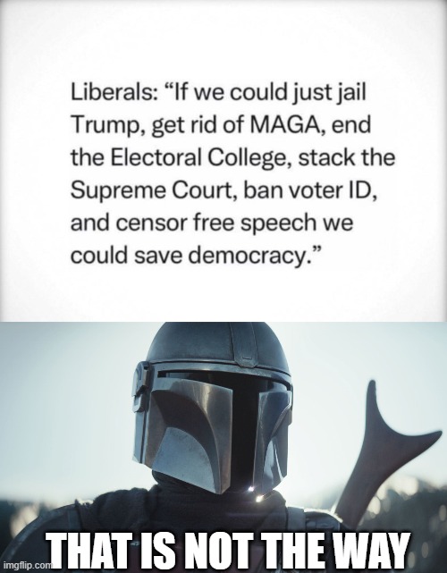THAT IS NOT THE WAY | image tagged in the mandalorian | made w/ Imgflip meme maker