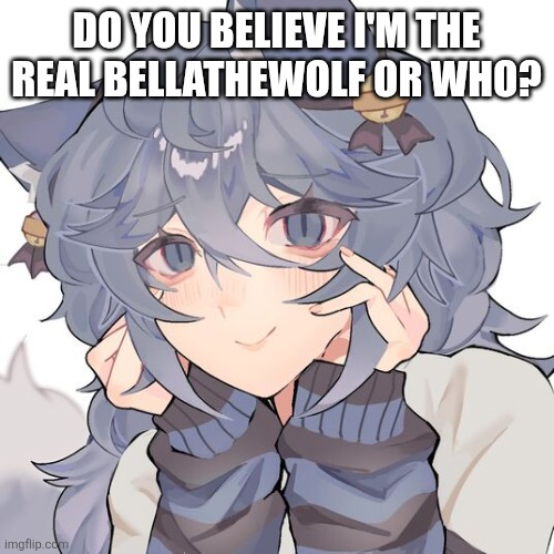 Certainly you guys believe I am. | DO YOU BELIEVE I'M THE REAL BELLATHEWOLF OR WHO? | made w/ Imgflip meme maker