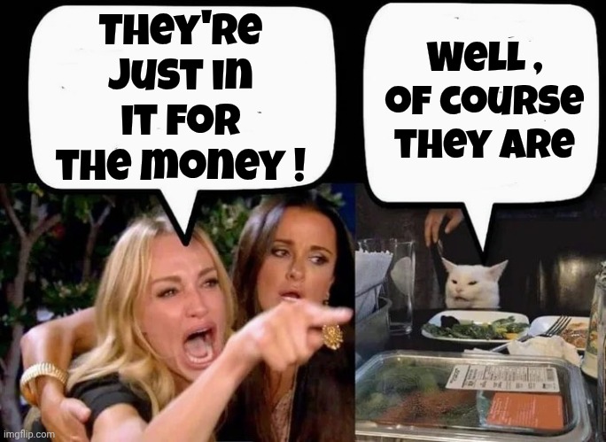 Don't eat the Cat | They're just in it for the money ! Well , of course they are | image tagged in don't eat the cat | made w/ Imgflip meme maker