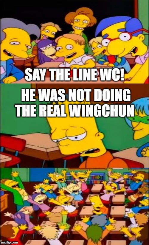 say the line bart! simpsons | SAY THE LINE WC! HE WAS NOT DOING THE REAL WINGCHUN | image tagged in say the line bart simpsons | made w/ Imgflip meme maker