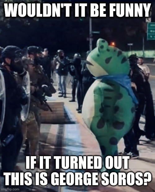 Frog Soros | WOULDN'T IT BE FUNNY; IF IT TURNED OUT THIS IS GEORGE SOROS? | image tagged in i am portland frog | made w/ Imgflip meme maker