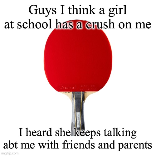 first time I notice someone has a crush on me | Guys I think a girl at school has a crush on me; I heard she keeps talking abt me with friends and parents | image tagged in ping pong | made w/ Imgflip meme maker