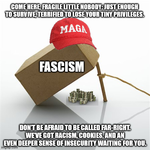 Maga Bait | COME HERE, FRAGILE LITTLE NOBODY: JUST ENOUGH TO SURVIVE, TERRIFIED TO LOSE YOUR TINY PRIVILEGES. FASCISM; DON’T BE AFRAID TO BE CALLED FAR-RIGHT. WE’VE GOT RACISM, COOKIES, AND AN EVEN DEEPER SENSE OF INSECURITY WAITING FOR YOU. | image tagged in bait box | made w/ Imgflip meme maker