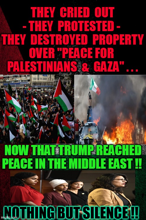 Did They NOT Want PEACE AFTERALL ?  Or was it All just another PHOTO OP?! | THEY  CRIED  OUT - THEY  PROTESTED -  THEY  DESTROYED  PROPERTY OVER "PEACE FOR  PALESTINIANS  &  GAZA" . . . NOW THAT TRUMP REACHED PEACE IN THE MIDDLE EAST !! NOTHING BUT SILENCE !! | image tagged in free,palestine,peace,middle east,jokes on you im into that shit,photo of the day | made w/ Imgflip meme maker