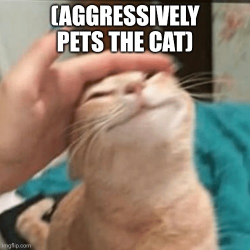 Pet the cat | (AGGRESSIVELY PETS THE CAT) | image tagged in pet the cat | made w/ Imgflip meme maker